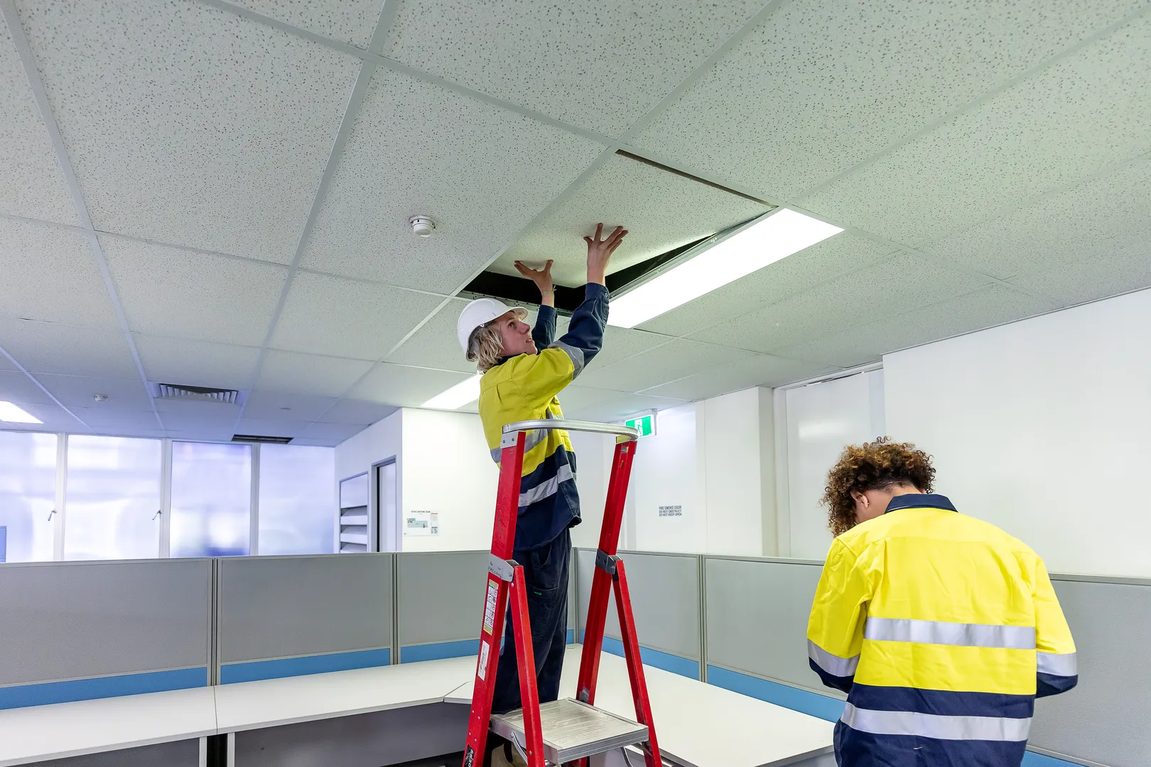 Workers fixing office ceiling tiles using ladder.